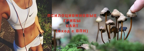 прущие грибы Нефтегорск