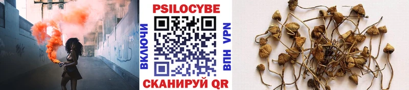Галлюциногенные грибы мухоморы  цены наркотик  Алексеевка 